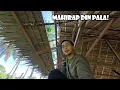 Download Lagu Extension ng Pawid na Bubong Para Hindi na Kami Mabasa ng Ulan | Bahay Kubo Project