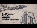 ArcGIS Transfer Attributes and Update Individual Fields