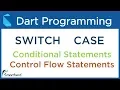 Dart SWITCH and CASE conditional statements Dart Tutorial for Flutter 3