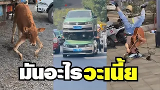 เมื่อชีวิตแต่ละวันมันง่ายไป อะไรวะเนี้ย !! ( พากย์นรก )