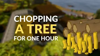  osrs chopping a tree for one hour f2p money making