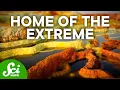 Download Hotter Than Death Valley | Weird Places mp4 3gp mp3 videos - waplic