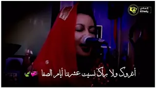 حالات واتساب سودانية اغروك ولا براك نسيت 