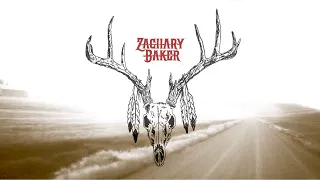 zachary baker dark horse official lyric visualizer 