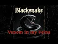 Lagu BLACKSNAKE - Venom in my Veins (Single)