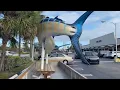 Original Flanigan s Seafood Bar Grill Big Daddy s Liquors - Pompano Beach Florida 2024