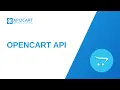 OpenCart API How to Effectively and Easily Develop an eCommerce Integration