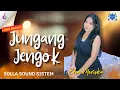 Download Lagu DJ JUNGANG JENGOK II ELSA MERISKA II ACARA PERNIKAHAN DARMA \u0026 MEYKA II DESA TUMBANG MANGGU