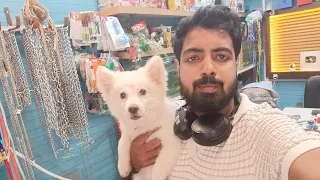 Pomtoy Anurag is live From Pet shop : Dalsinghsarai.