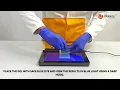 BLUE-WHITE LED TRANSILLUMINATOR