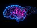 How Short-Form Content Rewires Your Brain The Dopamine Loop Explained