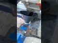 Oil change Predator 6500 Generator