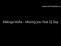 Malinga Mafia - Missing you Feat Dj Sley