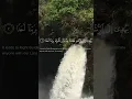 Download Lagu Surah Jinn Ayat [1-3] | Mishary bin Rashid Alafasy