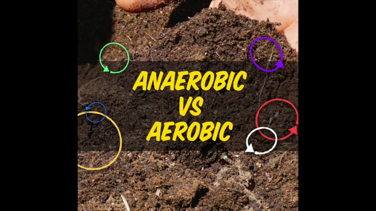 Episode 116 | Anaerobic vs Aerobic Controversy EXPLAINED with Matt Powers