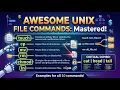 How to Manage Files in Unix Like a Pro 10 Must-Know Commands