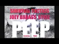 Joey BADA$$ x Jay STEEZ - Survival Tactics