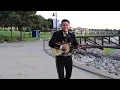 El mariachi loco/mariachi fiesta/el #1./cont:469-520-2356