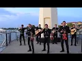 Download Lagu El mariachi loco/mariachi fiesta/el #1./cont:469-520-2356