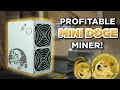 PROFITABLE Mini Doge Miner