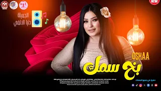 تريند التيك توك      بخ سمك علي الي خانك الجميلة دنيا الالفي والقشاش بيكسر بالمزمار الجديد دندنها
