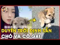 Download Lagu 🥺 XÚC ĐỘNG QUÁ! Cuộc Gặp Gỡ Định Mệnh Giữa Cô Gái Câu Cá Và Chú Chó Con Bị Bỏ Rơi 🐶#đờisống #cảmxúc