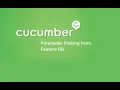 11 Cucumber Framework BDD Passing the Parameter