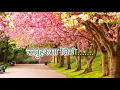 Download Lagu Ritu Haruma Timi Arun Thapa Karaoke with Lyrics