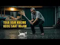 Download Lagu Tega Usir Kucing Kecil Saat Hujan, Ternyata Ada Rahasia Besar di Baliknya!