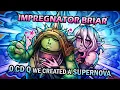 Download Lagu IMPREGNATOR BRIAR (0 Q CD PERMA STUN)