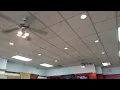 Menards Turn Of The Century Ceiling Fans in a store
