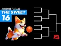 TRICKSHOTTING CORGI PREDICTS THE SWEET 16 BRACKET AIRCORG