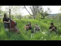 Download Lagu Say Darling Say -- Banana Express Band