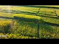 Download Lagu TRADITIONAL BALINESE MUSIC FROM BAMBOO \
