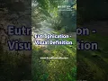 What is Eutrophication - A Visual definition