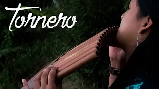 tornero el tren que nos separa panflute voice and quenacho cover by raimy salazar