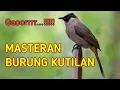 Lagu BURUNG KUTILAN GAJOR, COCOK UNTUK PANCINGAN | PART#1