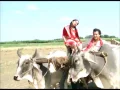 Download kaun disha remax dj brajesh mp4 3gp mp3 videos - waplic
