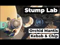 Grounded 1 0 Stump Lab Outpost Guide Find the Orchid Mantis Kebab and the Stump Burg L Chip