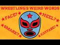 The Bizarre Language Of Pro Wrestling