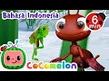 Lagu Lagu Seru Si Semut dan Belalang 🐜🎶 The Ant and the Grasshopper | CoComelon - Lagu Anak Anak