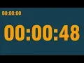 48 second timer with end alarm time elapsed and progress bar