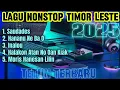 Download Lagu Musik Nonstop Timor Leste Terbaru 2025 | Nany Reis Full Album |