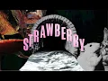 Download Lagu Equal Idiots - Strawberry (Official Music Video)
