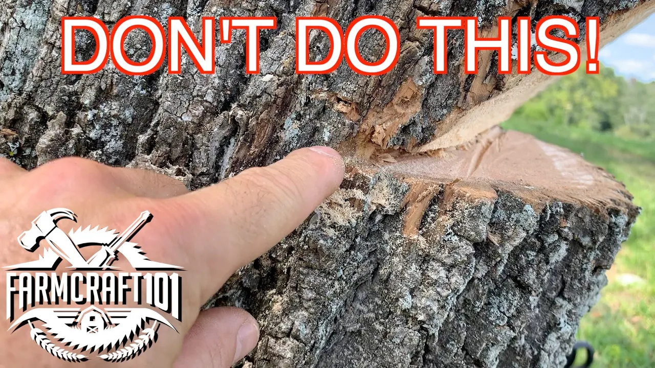 No Nonsense Guide to Tree Felling.  How to cut down a tree safely.  FarmCraft101