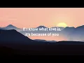 Download Lagu The Way I Love You - Michal Leah (Lyrics)