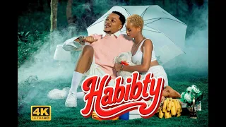 Aslam Tz Habibty Official Music Video 