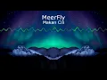 Lagu MeerFly - Makan Cili (Visualizer)