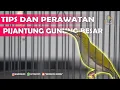 Download Lagu Tips Merawat Pijantung Gunung Besar !!