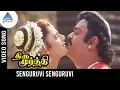 Download Lagu Thirumoorthy Tamil Movie Songs | Senguruvi Senguruvi Video Song | Vijayakanth | Ravali | Deva